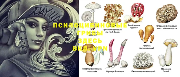 2c-b Балабаново