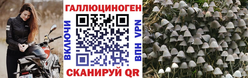 Псилоцибиновые грибы ЛСД Старица
